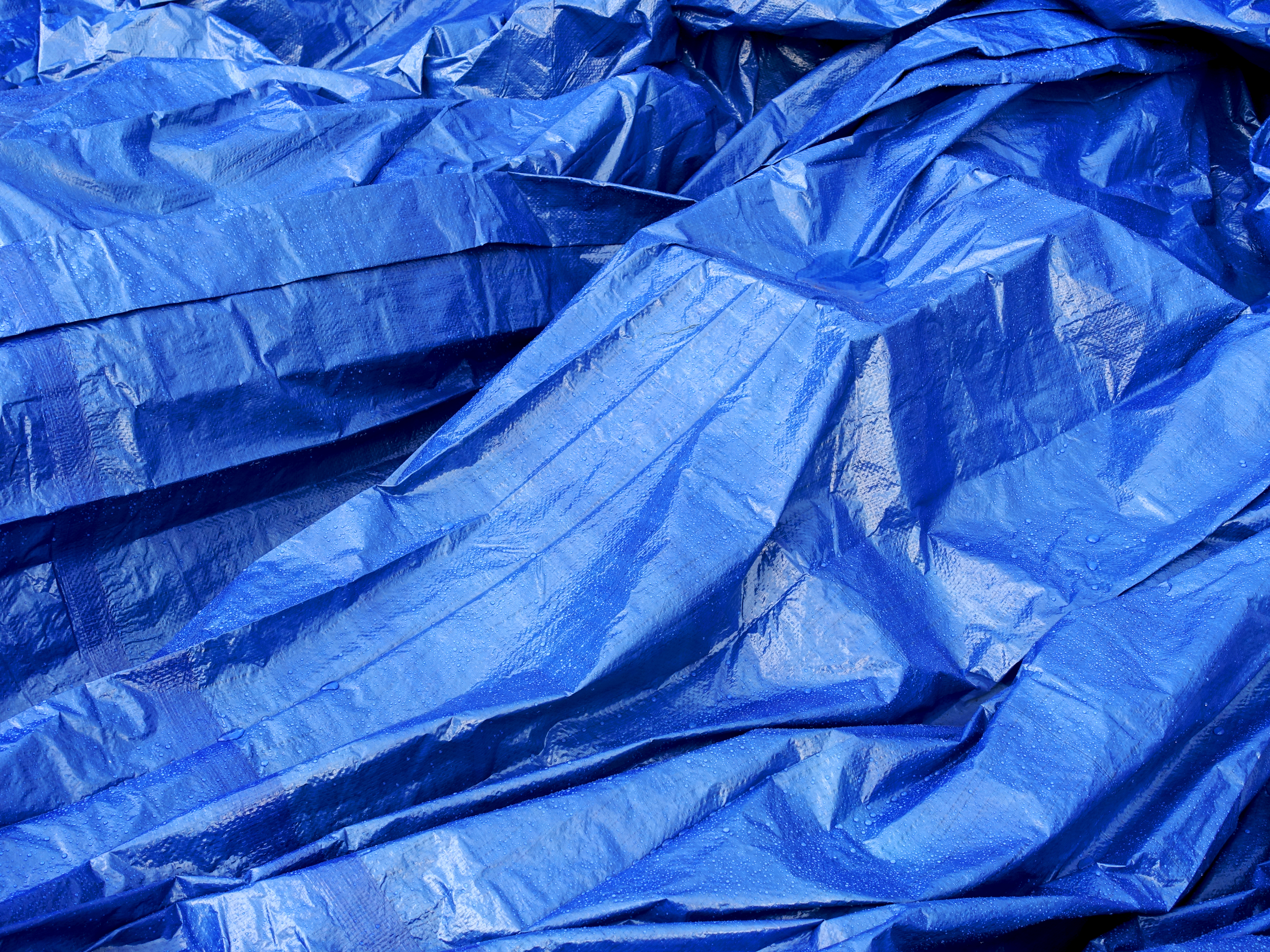 Oriol Vilanova, Reproductions, 2025. Fotograma © Oriol Vilanova. Cortesía del artista