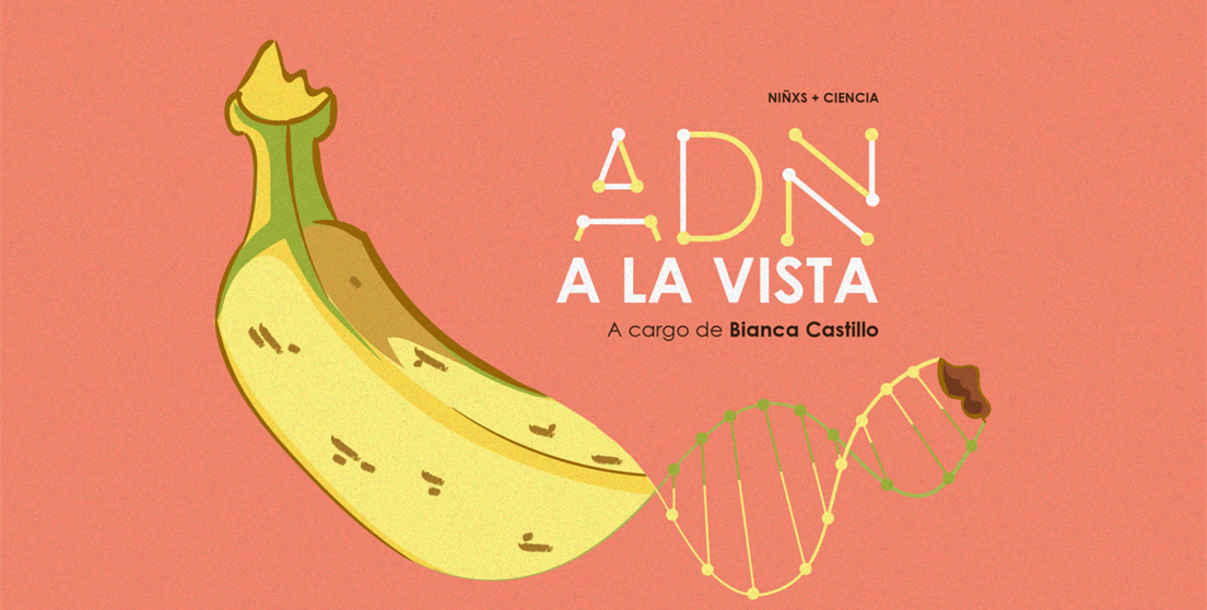 ADN a la vista
